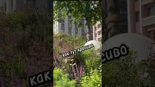 Moscow