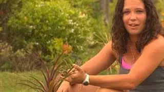Survivor: Cagayan - The Jury Speaks Sarah