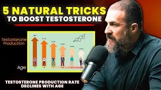 Neuroscientist - TRIPLE Your Testosterone Levels | Science Behind Testosterone | Andrew Huberman