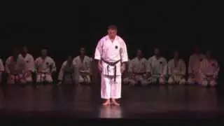 Фестиваль Боевых Искусств Окинавы 2013