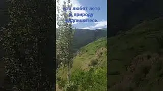 3 июня 2023 г.