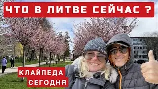 Приехали в Литву. А здесь такое. Последние новости из Клайпеды. 
