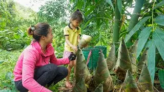 Wife and Daughter Go to the Farm to Harvest Giant Bamboo shoots | Lý Phúc Khé