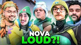 RANKED DAS ESTRELAS: A Comp da LOUD!