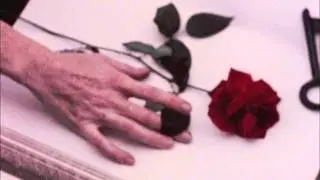 Tropic Of Cancer - "Temporal Vessels"