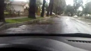 tree travel.3GP