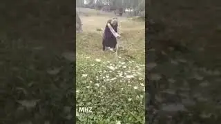 БАБУЛЯ КОСИТ ТРАВУ В 100 ЛЕТ!