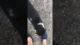 #кошечка  говорит спасибо))
