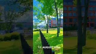 Kopli Liinid 2019 vs 2024 #tallinn