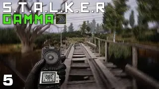 A Little Bit Of Stash Hunting In The Great Swamps - STALKER GAMMA S2 ep. 5