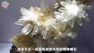 搭地鐵 遊博物館探尋礦石 中藥標本 歷史大觀｜萬國珠寶匯礦物博物館｜深圳中醫藥博物館｜下沙博物館｜【遊走大灣區】