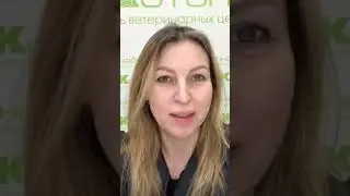 симптомы рвоты и диареи у щенков и котят