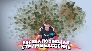 🧫 Евгеха пообещал стрим в бассейне | MineShield