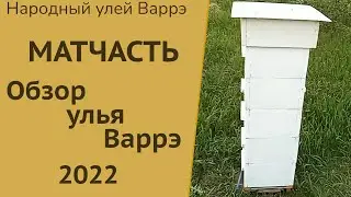 Warre People's Hive. Inside the Warre Hive | Full Review. Advantages and Disadvantages