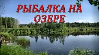 Рыбалка на озере 