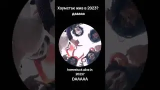 мв живы 