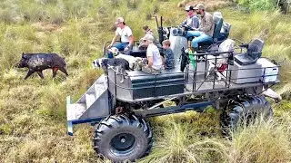 Catching *WILD HOGS* with DOGS  off a GIANT SWAMP BUGGY (Catch & Cook Bluegabe Style)