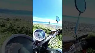 После сильного шторма водоросли на пляже. #supersoco #море