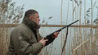 wolf hunting, duck hunting