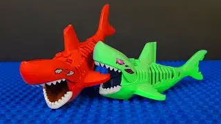 Shark vs Shark