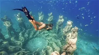 Greta. Gili
