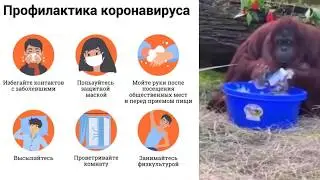 ПРОФИЛАКТИКА КОРОНАВИРУСА. Слепому не покажешь, глухому не расскажешь, а тупому не докажешь