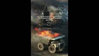 томатоматома
