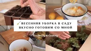 👩‍🌾 Весенняя уборка сада 🥧 Вкусно готовим 🌾 vlog/ Ep. 8