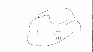 Belly Drop