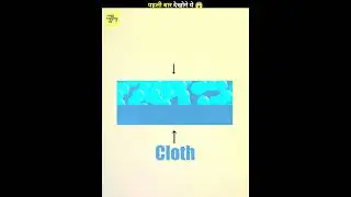 Why Do Wet Clothes Appear Darker 😱