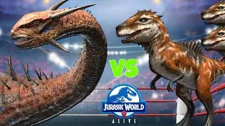 THYLOS INTREPIDUS vs GEMINIDEUS! David vs Goliath! 6 Rounds- Who will Win? (Jurassic World Alive)