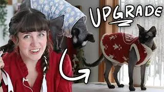 Making A (Heraldic) Fur Coat for my Hairless Cat!