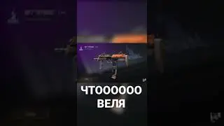 ВЕЛЯ ЧТО ТУТ ПРОИСХОДИТ #Shorts