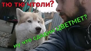 СДАЧА ЦВЕТМЕТА. ЗАРАБОТОЕ НА МЕТАЛЛОЛОМЕ. СКОЛЬКО МОЖНО ЗАРАБОТАТЬ НА МЕТАЛЛОЛОМЕ. ЦВЕТМЕТ КАК ХОББИ
