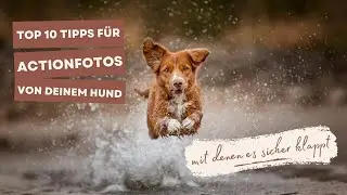 TOP 10 TIPPS für ACTIONFOTOS von deinem Hund! 🐶🚀 