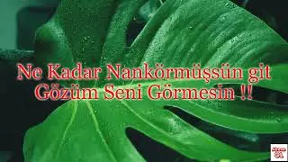 Çok fazla mı sevdim Çok mu değer verdim