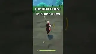HIDDEN CHEST you might have missed in Sumeru #8 | Genshin Impact 