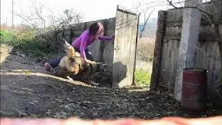КО Сказка, 1.5 года - тренировка