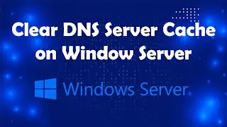 How to Clear DNS Server Cache on Window Server | Msolved Tech