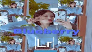 LIGHTROOM TUTORIAL BLUEBERRY FILTER/FREE BLUBERRY FILTER LIGHTROOM/