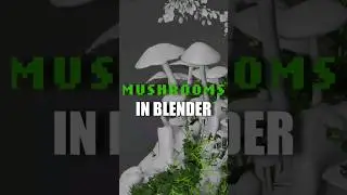 Nature Photography in Blender