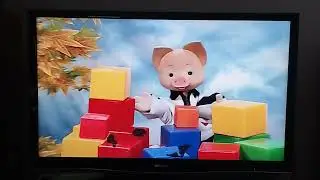 Открытие DVD-диска СНМ: 