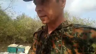 Сокращаем гнёзда, готовим пасеку к зиме