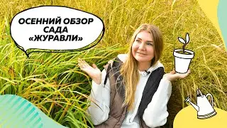 Обзора сада Журавли в октябре |  Ландшафтный дизайн | Ирис болотный | Аконит | Тимьян