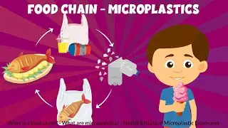 Food Chain - How plastic has entered the food chain? - Microplastics - Learning Junction