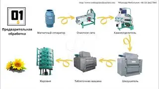 Оборудование для производства подсолнечного масла