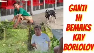 GANTI NI Bemaks Kay BORLOLOY(Reaction)😂🤣😅 jomartv official Account