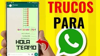 WhatsApp Tricks 2019 | The Ones You MUST Know | New 💯