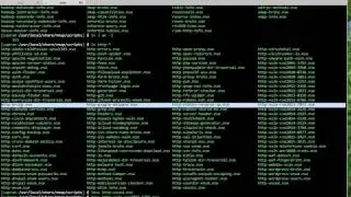 #21 Nmap scripts