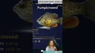 16 SPECIES Coming to SPAIN!!! 🐠🐠🐠- COTW The Angler 